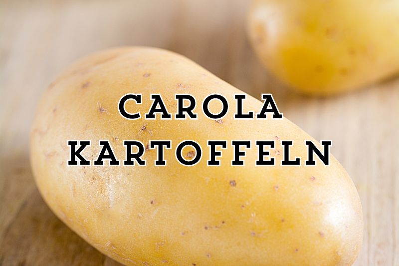 Carola Kartoffeln