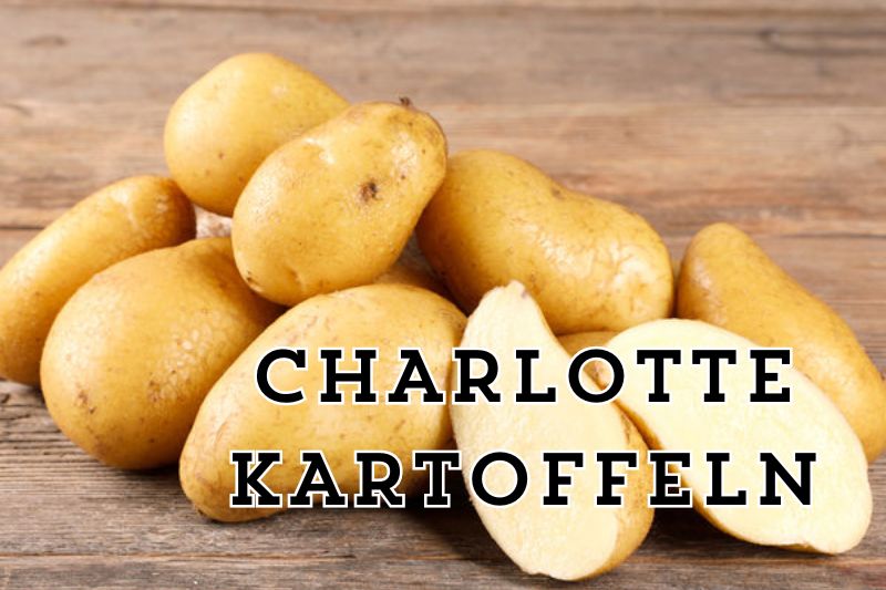 Charlotte Kartoffeln