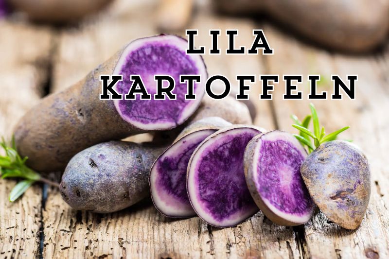Lila Kartoffeln